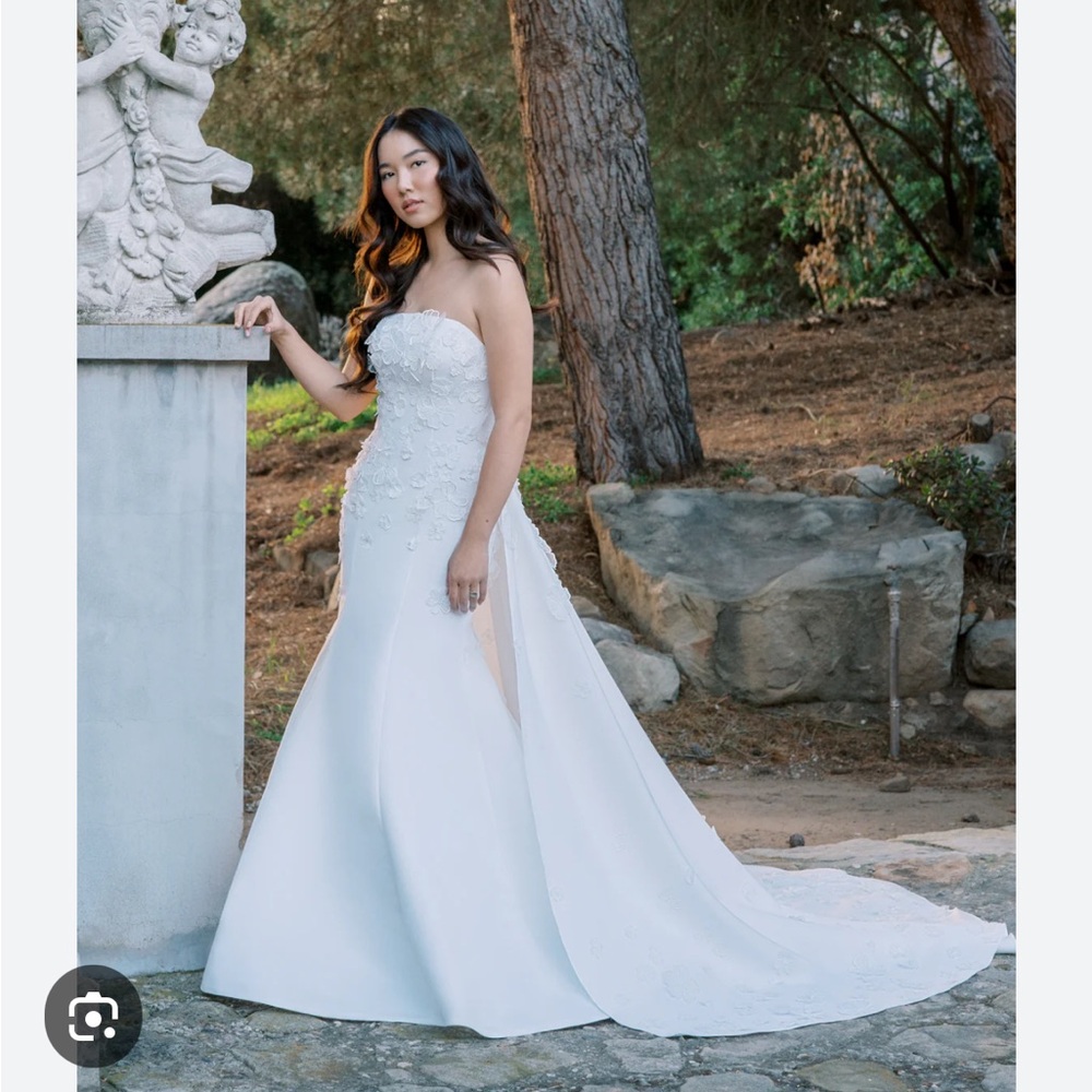Anne Barge Bella Wedding Dress w/ Overskirt